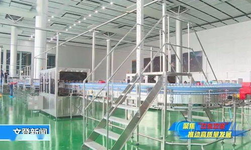 管家式服務(wù)讓健康生態(tài)飲品項(xiàng)目落地生根——邢臺(tái)正餐服務(wù)新典范